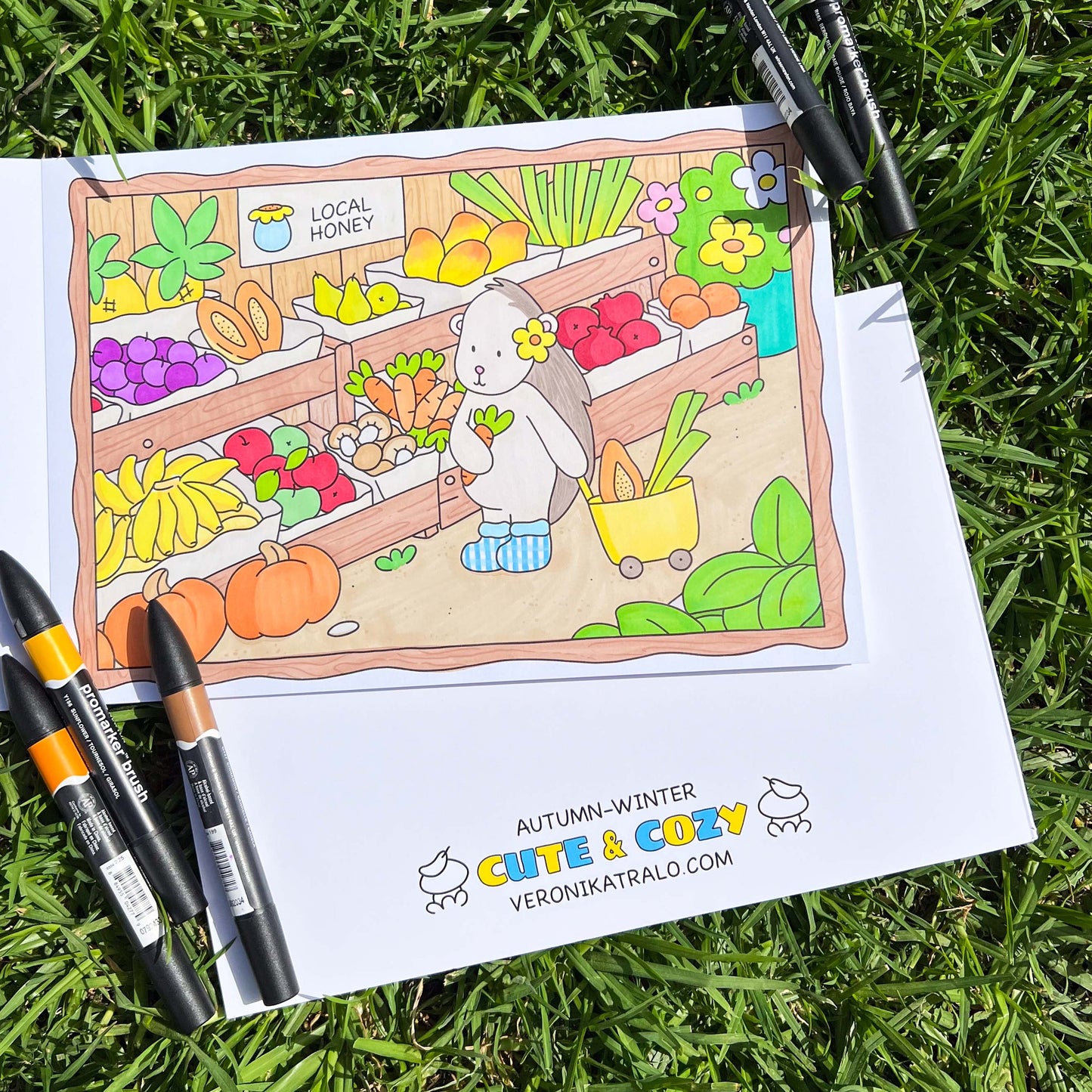 Amigos Canarios alcohol markers colouring book Vol.2