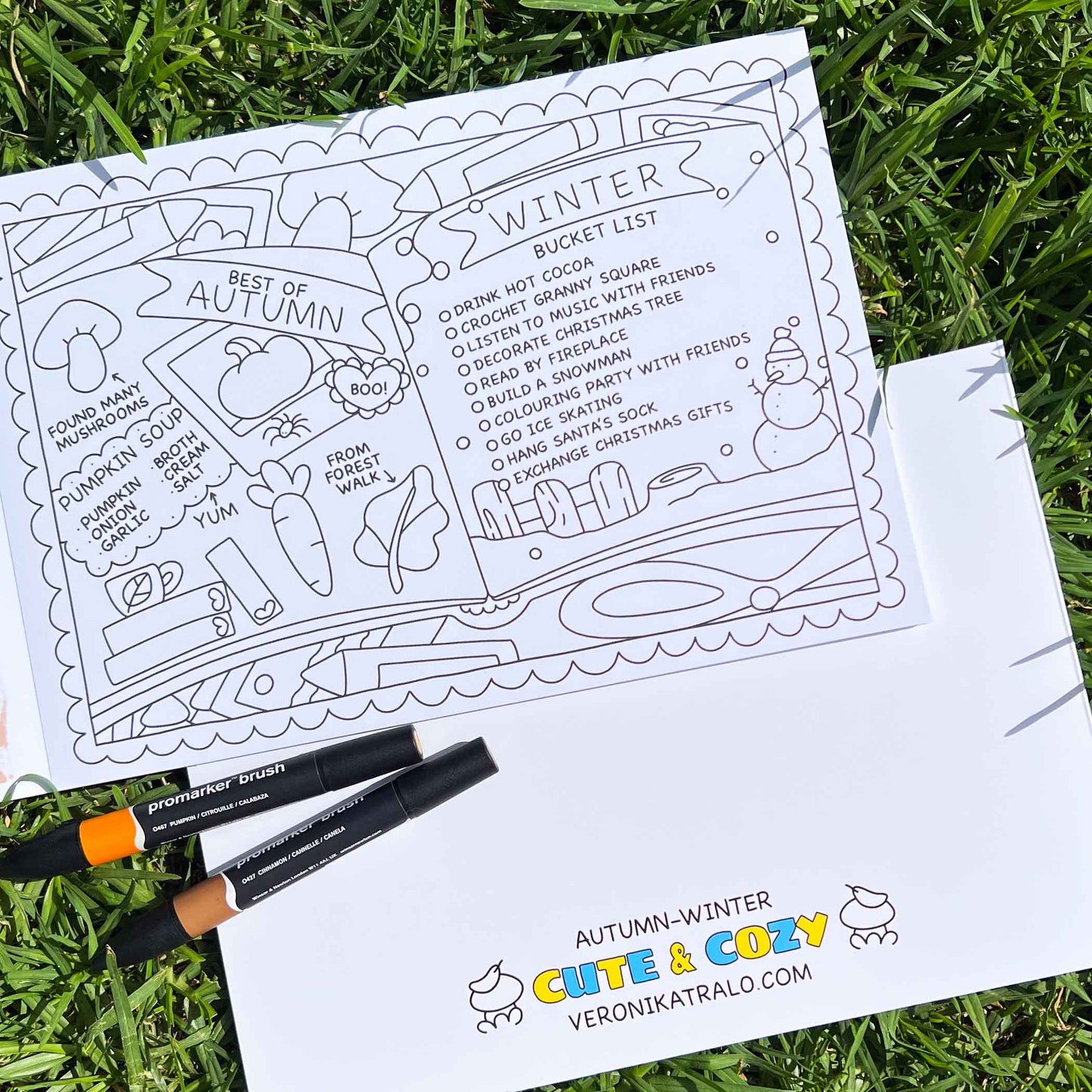 Amigos Canarios colouring book Vol.2 winter checklist