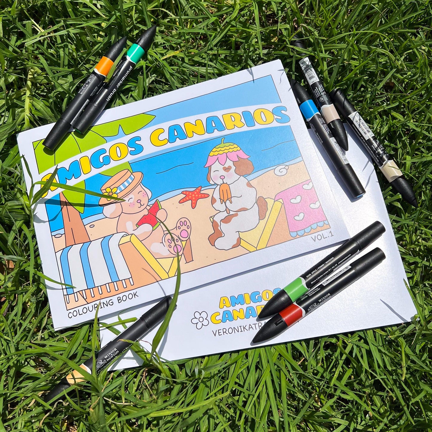 amigos canarios colouring book