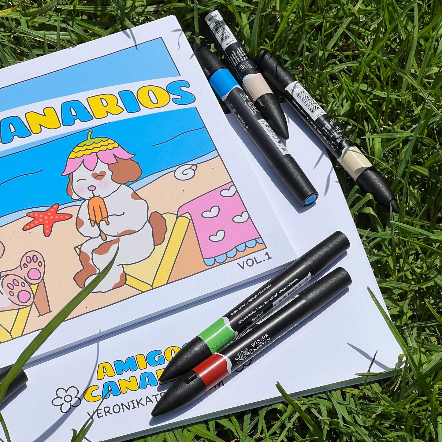 Amigos Canarios colouring book Vol.1 - amigoscanarios