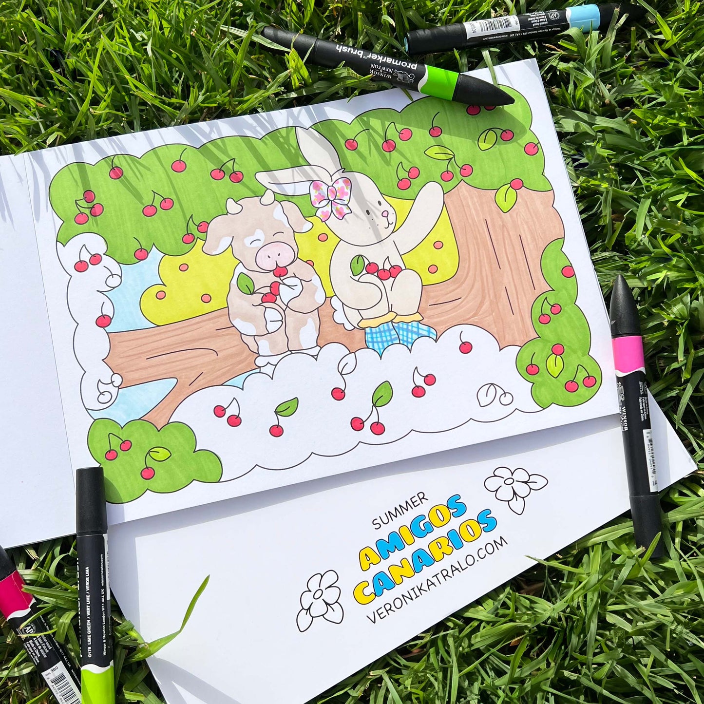 Amigos Canarios colouring book SUMMER coloured page