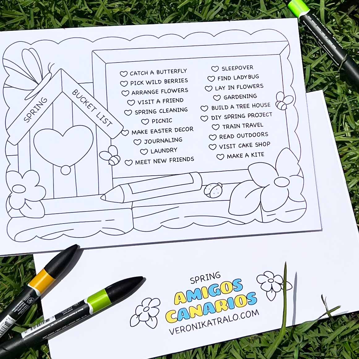 Amigos Canarios SPRING book colouring check list