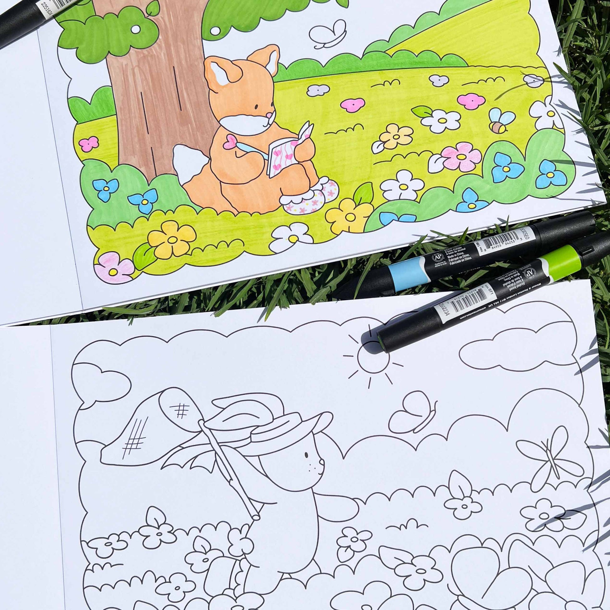Amigos Canarios coloring book SPRING colored by alcohol-based markers